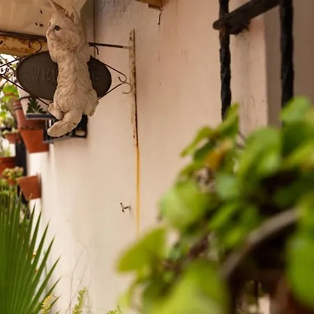 El Patio De La Vina By Gades Gestion Daire