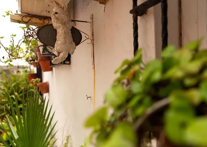 El Patio De La Vina By Gades Gestion Apartment